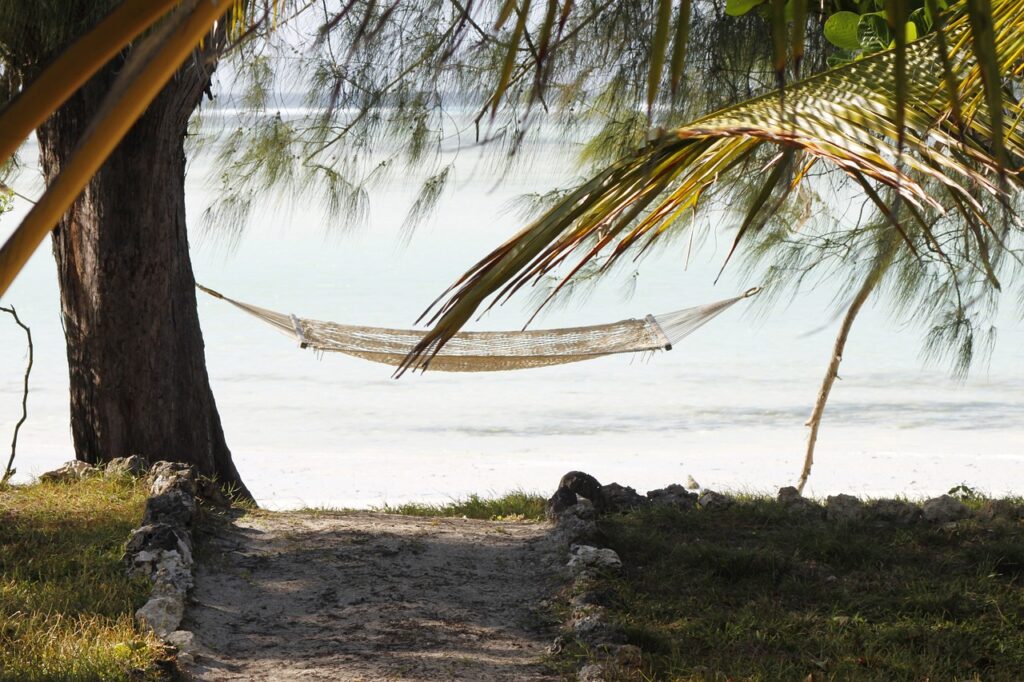 hammock, zanzibar, vacations, sandy beach, paradise, africa, tanzania, exotic, outlook, hammock, zanzibar, zanzibar, zanzibar, zanzibar, zanzibar-2676647.jpg