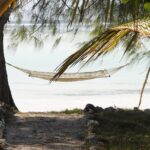 hammock, zanzibar, vacations, sandy beach, paradise, africa, tanzania, exotic, outlook, hammock, zanzibar, zanzibar, zanzibar, zanzibar, zanzibar-2676647.jpg